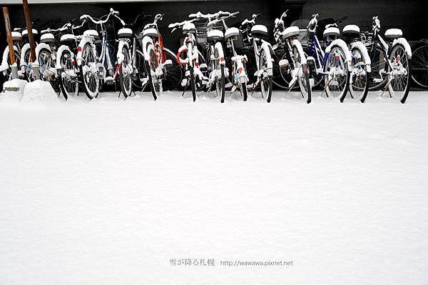 札幌DSC_9760s