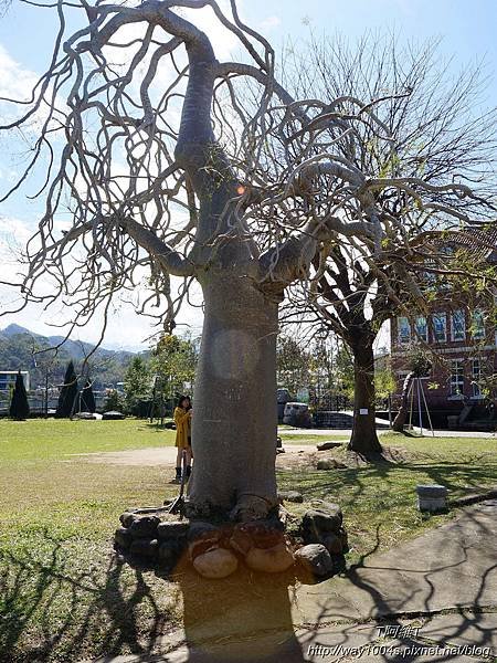 P49.jpg