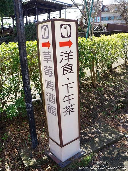 P58.jpg