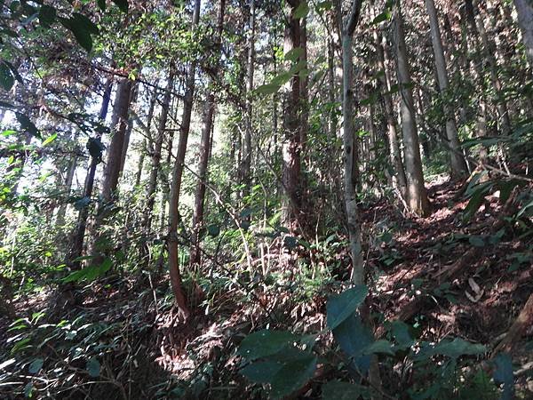 DSC03429_調整大小.JPG