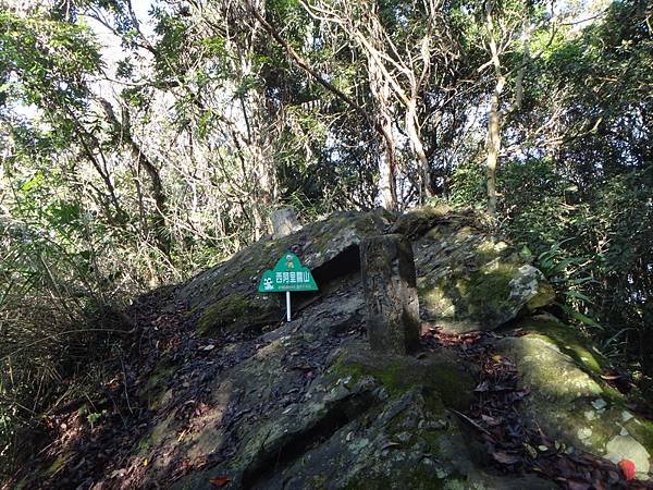 DSC03450_調整大小.JPG