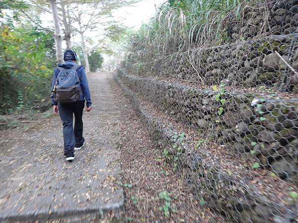 DSC03547_調整大小.JPG