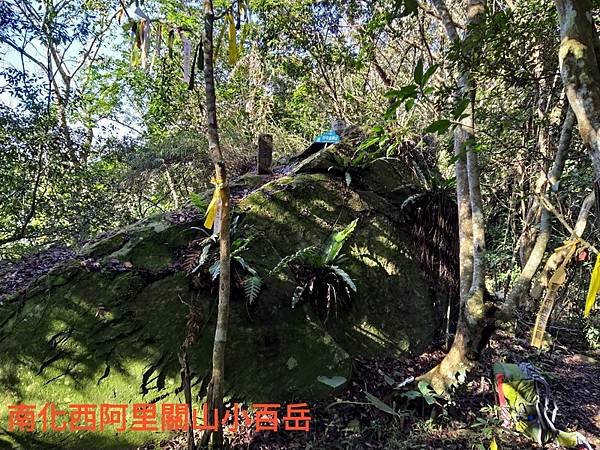 line_93333448355624_調整大小.jpg