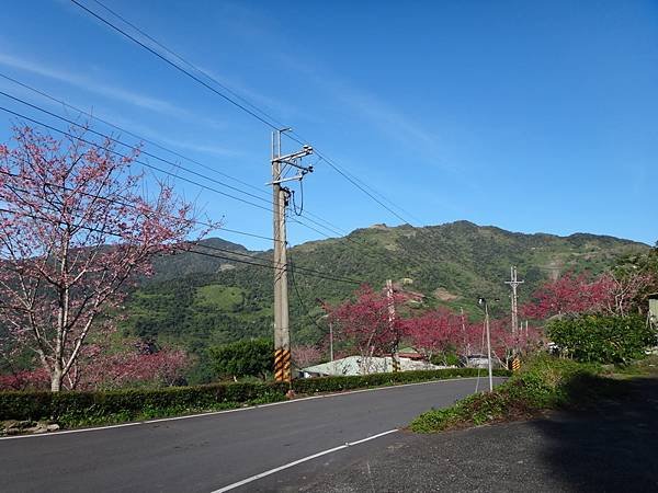 DSC03885_調整大小.JPG