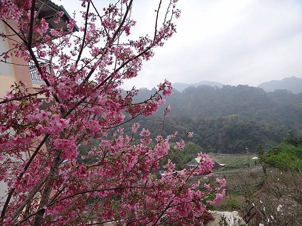 DSC04021_調整大小.JPG