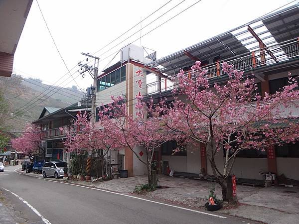 DSC04019_調整大小.JPG