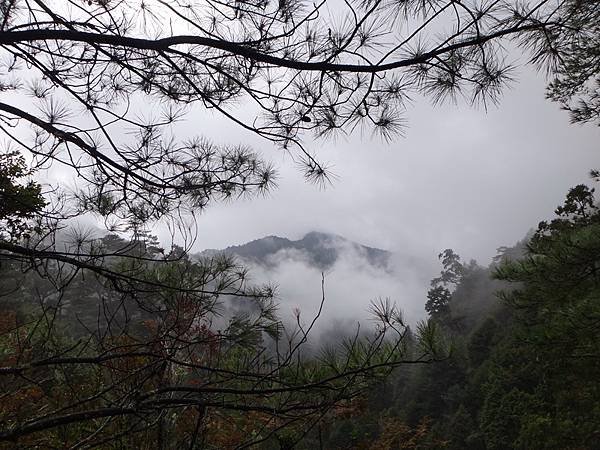 DSC04083_調整大小.JPG