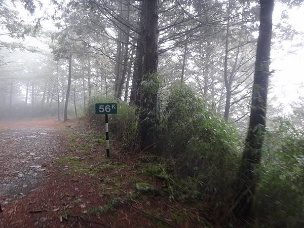 DSC04078_調整大小.JPG