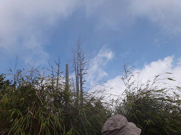 DSC04155_調整大小.JPG