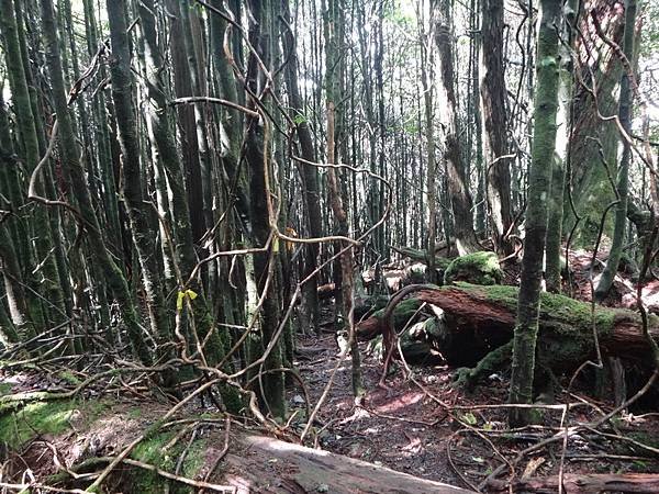 DSC04159_調整大小.JPG