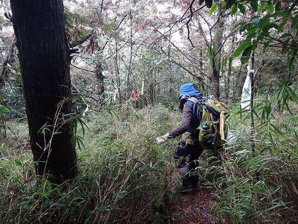DSC04160_調整大小.JPG