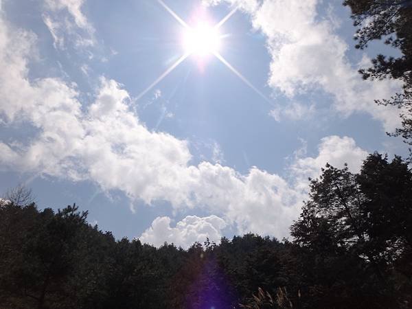DSC04186_調整大小.JPG