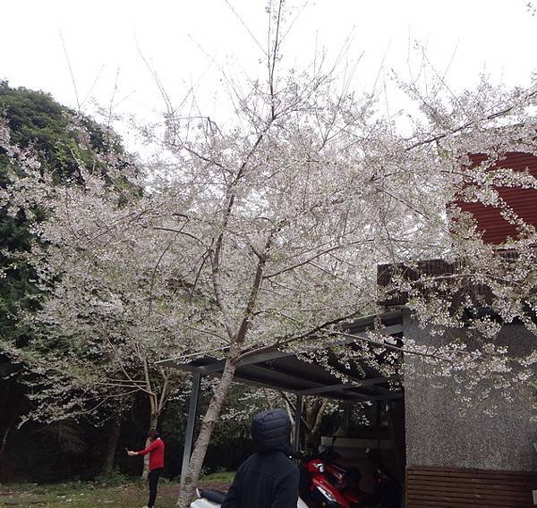 DSC04235 (2)_調整大小.JPG