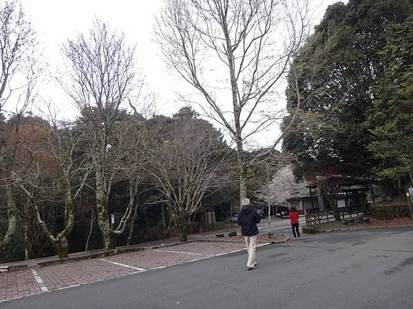 DSC04234_調整大小.JPG
