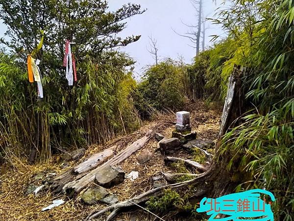 1615204252932_調整大小.jpg