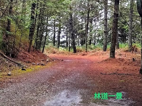 line_172880218006975_調整大小.jpg
