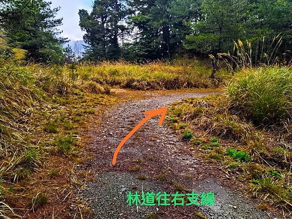 line_172901595166361_調整大小.jpg