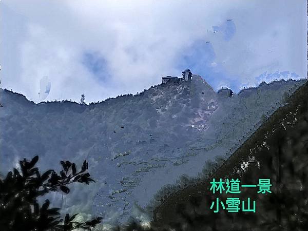 line_172929003117593_調整大小.jpg