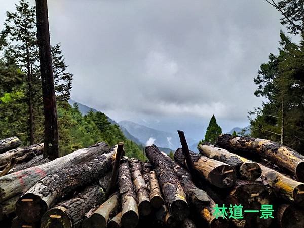 line_172897692397591_調整大小.jpg