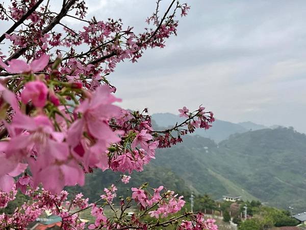 line_169193392071986_調整大小.jpg