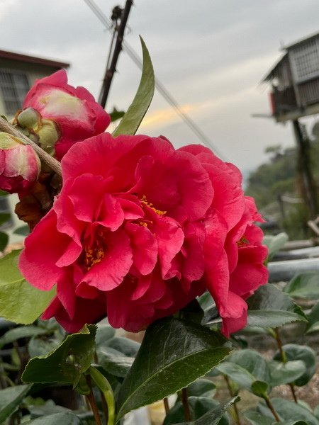 line_169214275276910_調整大小.jpg