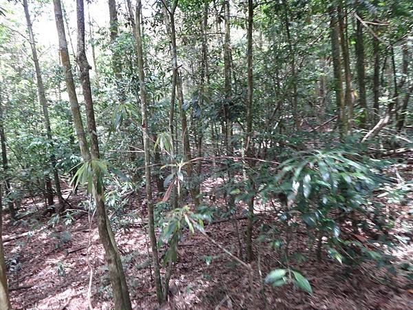 DSC04868_調整大小.JPG