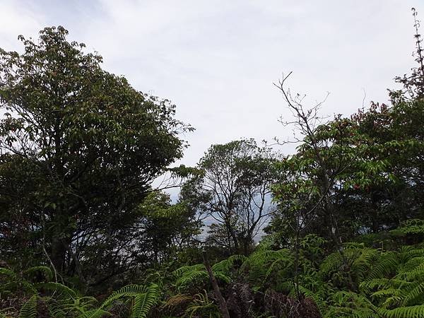 DSC04882_調整大小.JPG