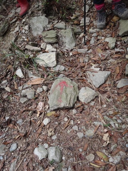 DSC04886_調整大小.JPG
