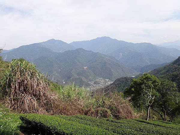 DSC04930_調整大小.JPG