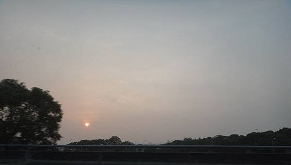 DSC04939 (2)_調整大小.JPG