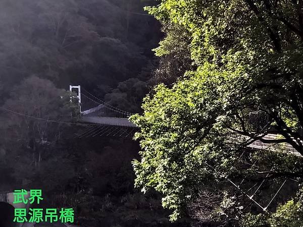 line_27204119224777_調整大小.jpg
