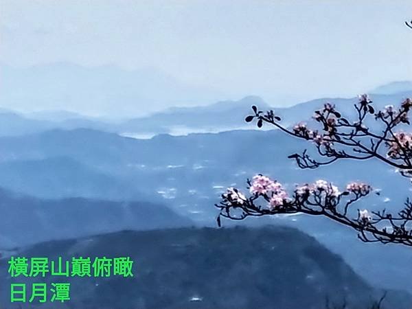 line_27295330217034_調整大小.jpg