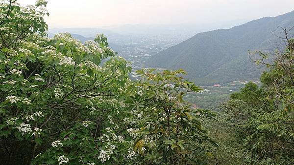 line_27550589407197_調整大小.jpg