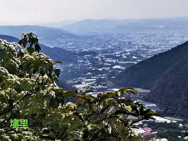 line_27307369616404_調整大小.jpg