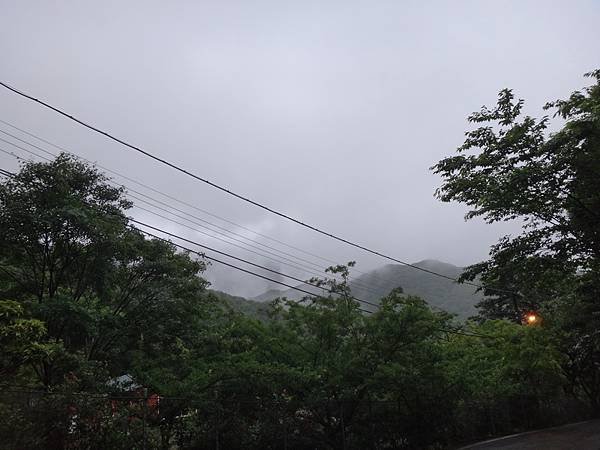 DSC06822_調整大小.JPG