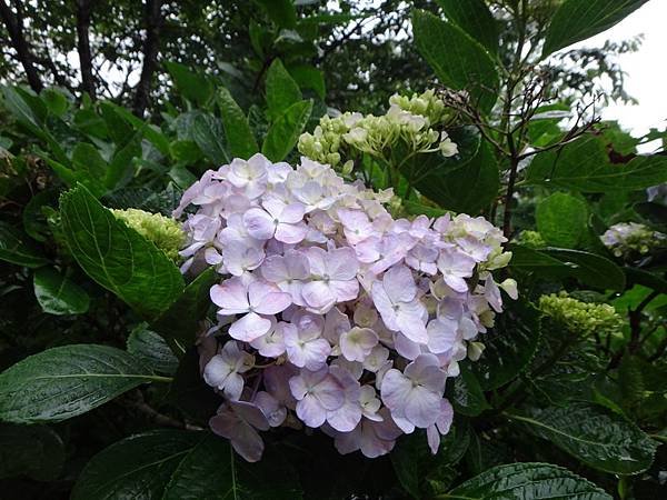 DSC06827_調整大小.JPG