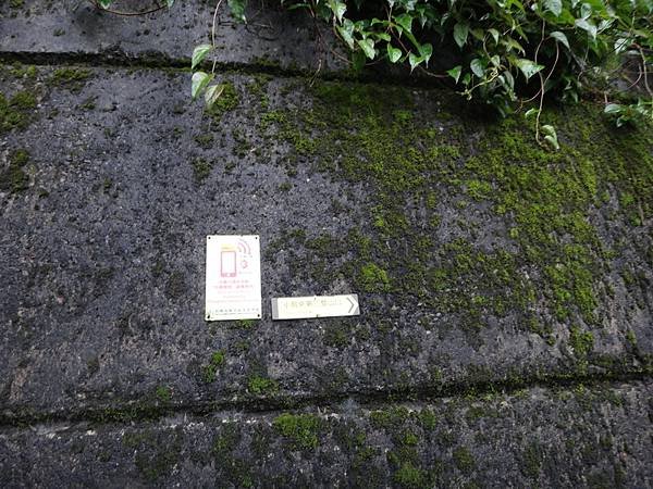 DSC06833_調整大小.JPG