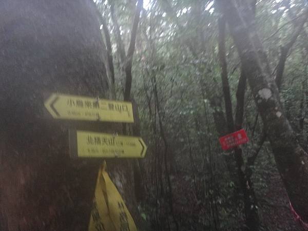 DSC06848_調整大小.JPG