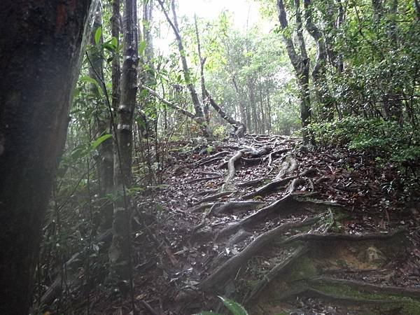 DSC06856_調整大小.JPG