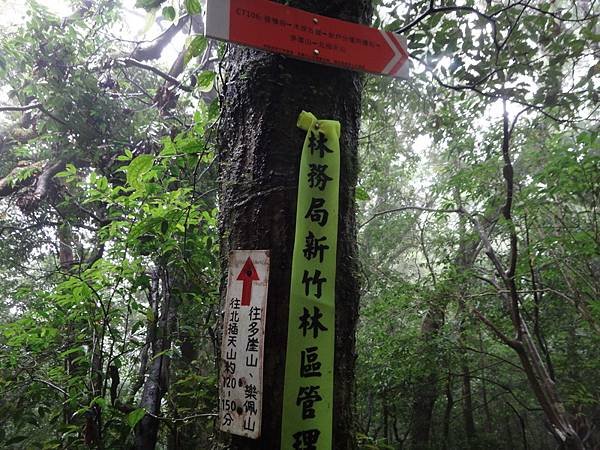 DSC06906_調整大小.JPG