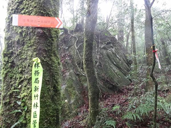 DSC06935_調整大小.JPG