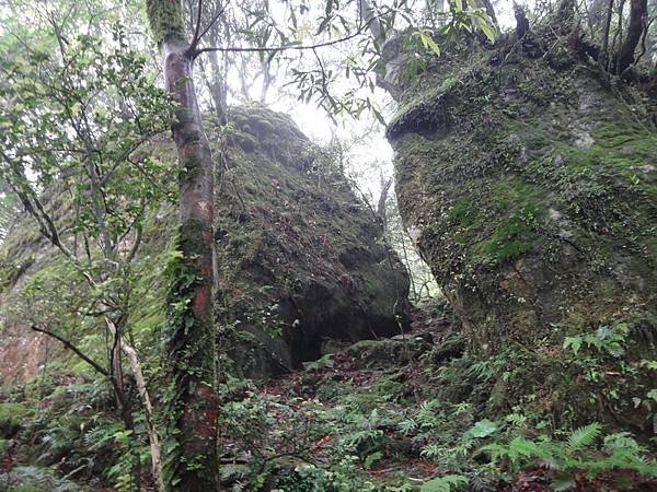 DSC06958_調整大小.JPG