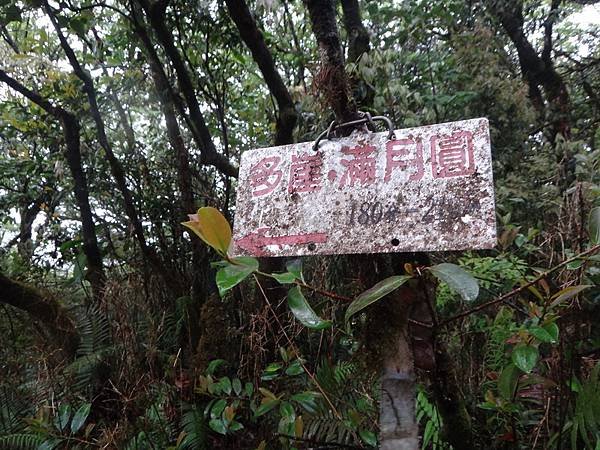 DSC07005_調整大小.JPG