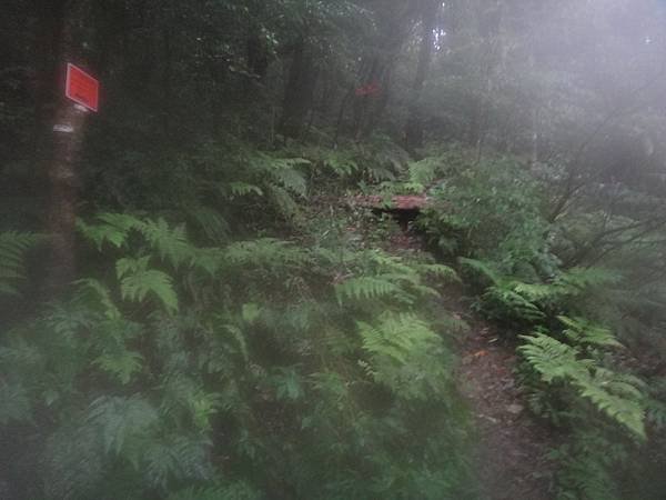 DSC07023_調整大小.JPG