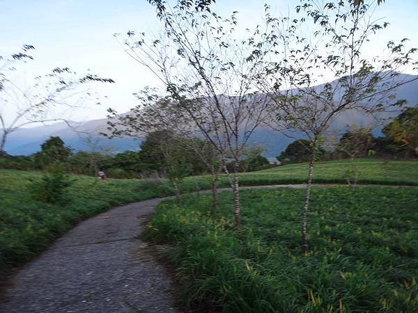 DSC07658_調整大小.JPG
