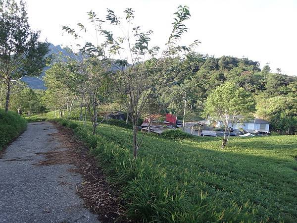 DSC07706_調整大小.JPG