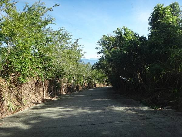DSC07748_調整大小.JPG