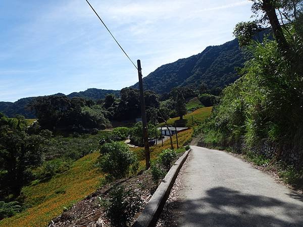 DSC07762_調整大小.JPG