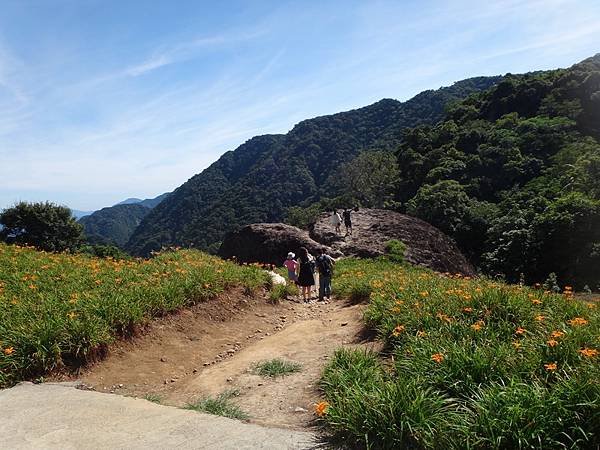 DSC07780_調整大小.JPG