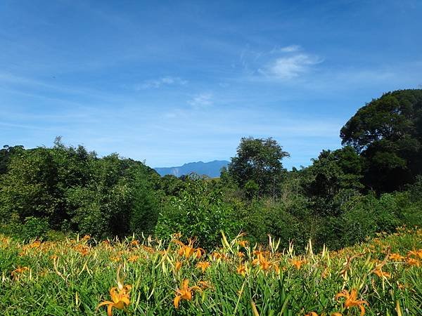DSC07802_調整大小.JPG